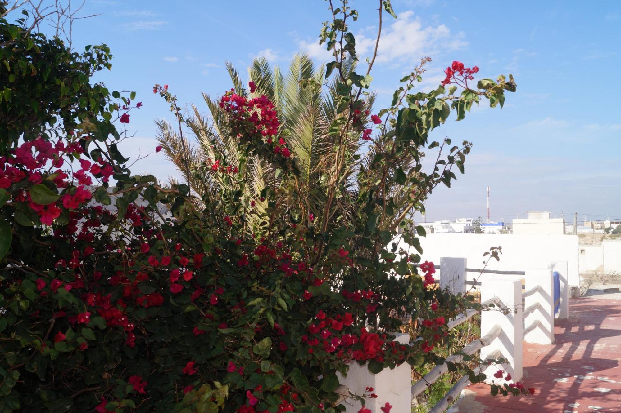 Hotel Sidi Kaouki Perla Exterior foto