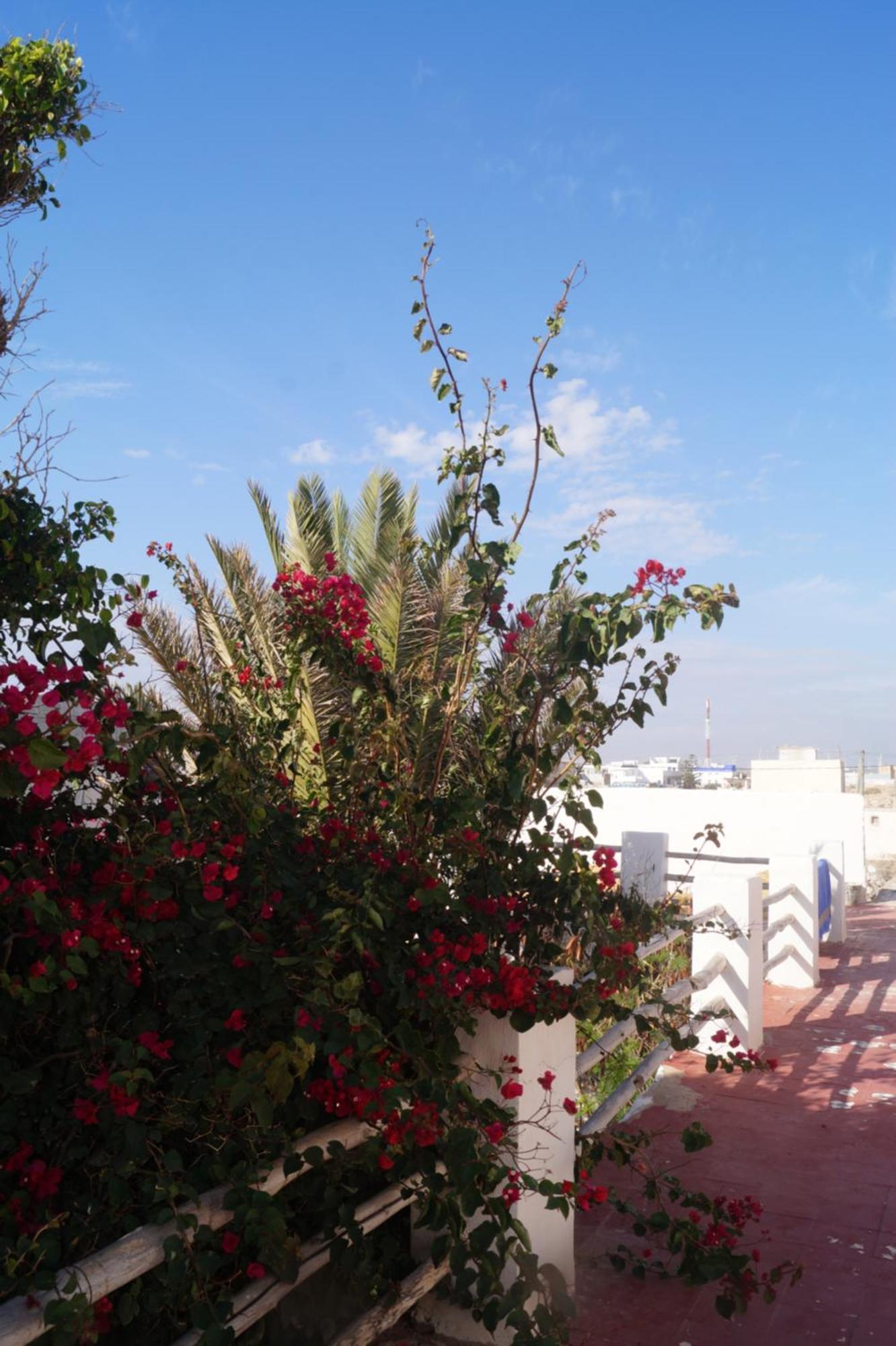 Hotel Sidi Kaouki Perla Exterior foto